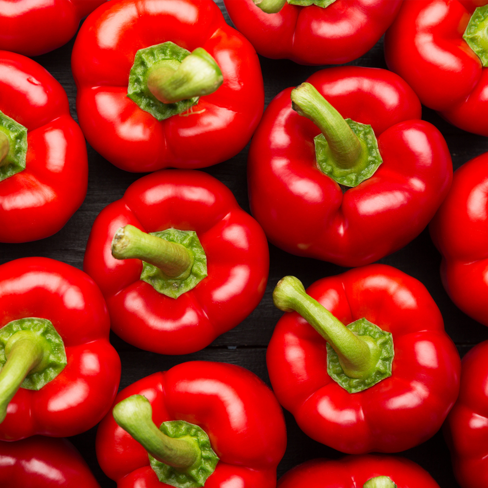 Pepper – Sweet – Yolo Wonder L (14-16 Seeds)