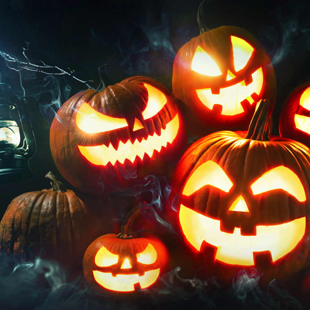 Pumpkin - Jack O Lantern (6 Seeds)