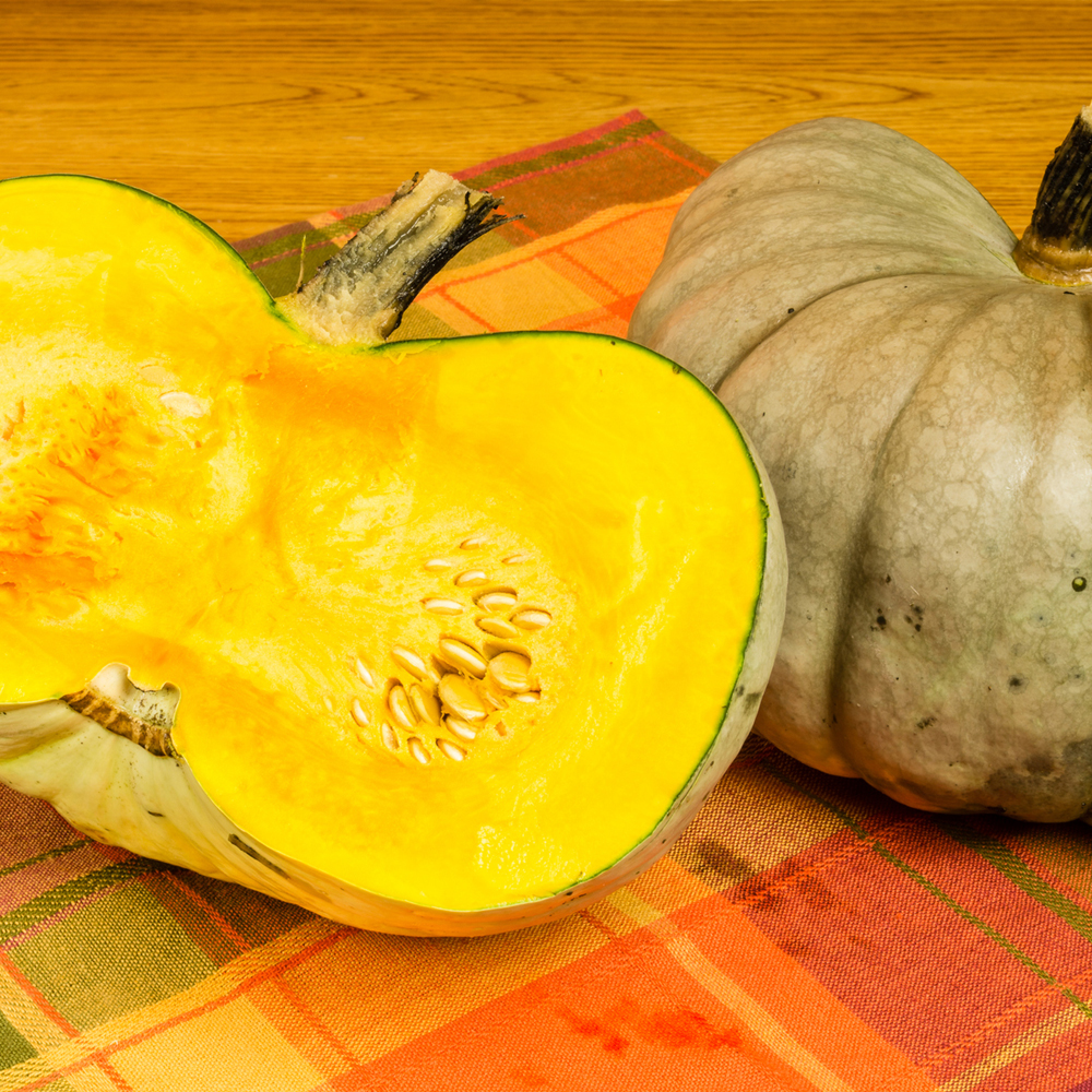 Pumpkin - Jarrahdale