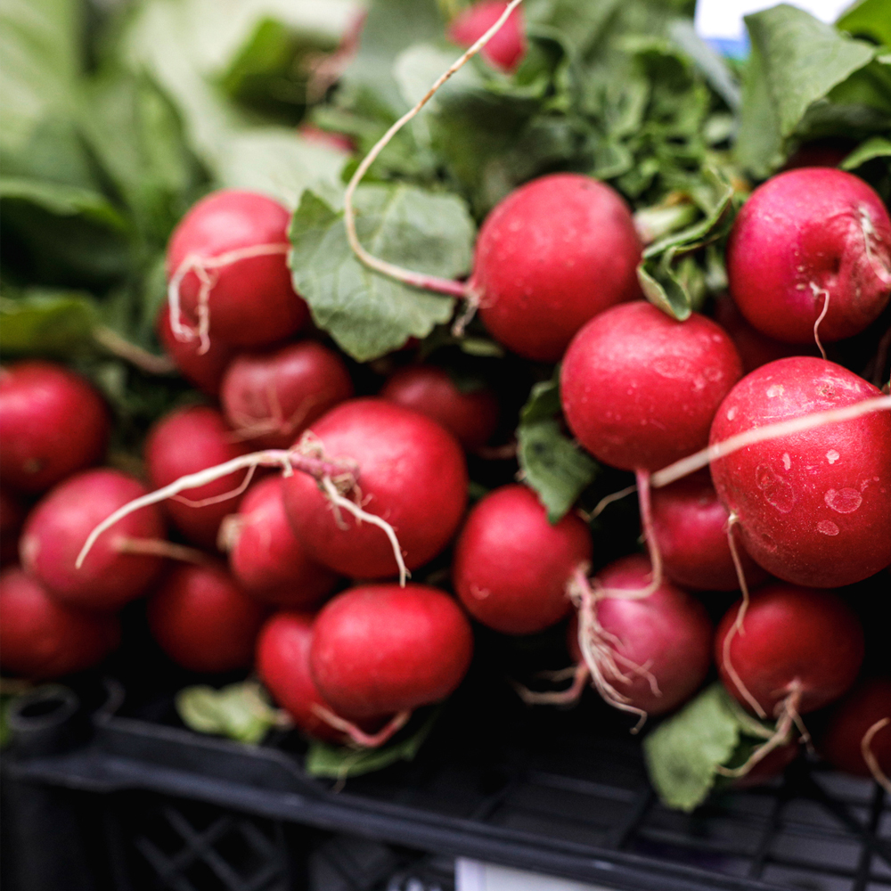 Radish – Cherry Belle (100-120 Seeds)