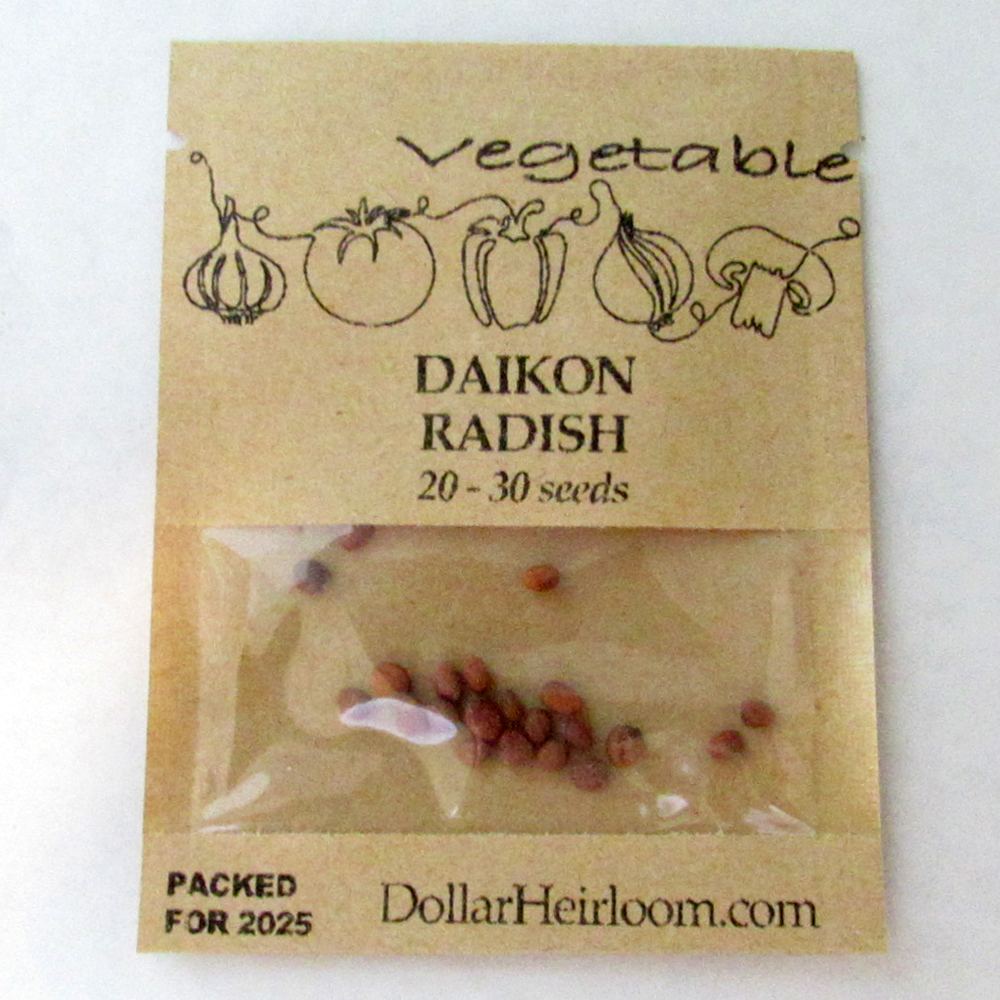 Radish – Daikon Minowase (20-30 Seeds)