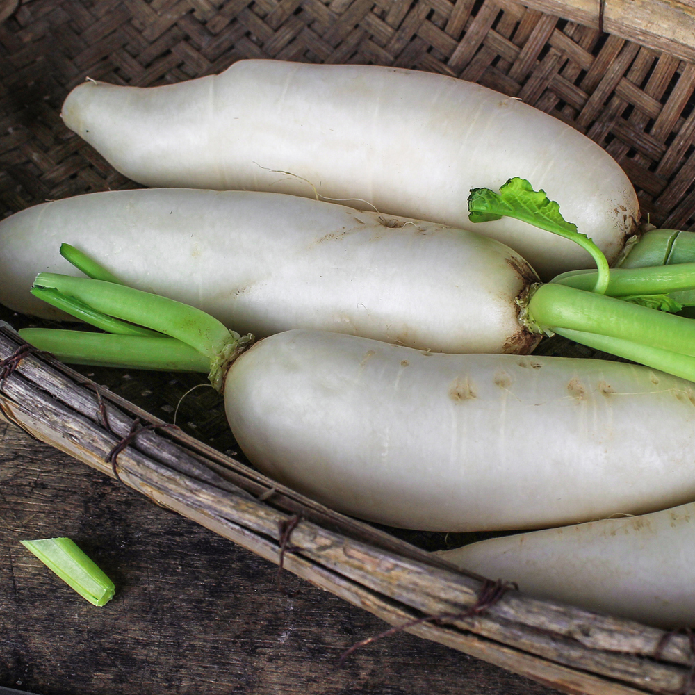 Radish – Daikon Minowase (20-30 Seeds)