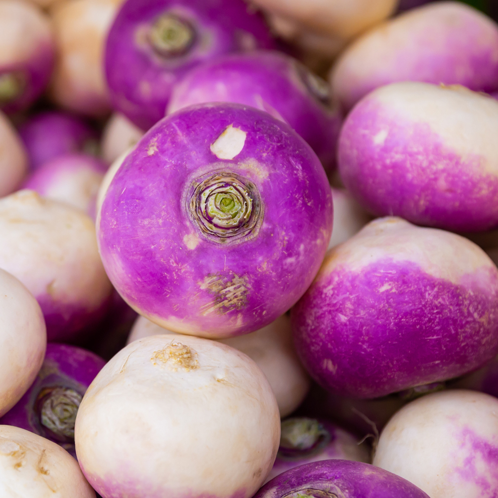 Rutabaga – American Purple Top (60-80 Seeds)