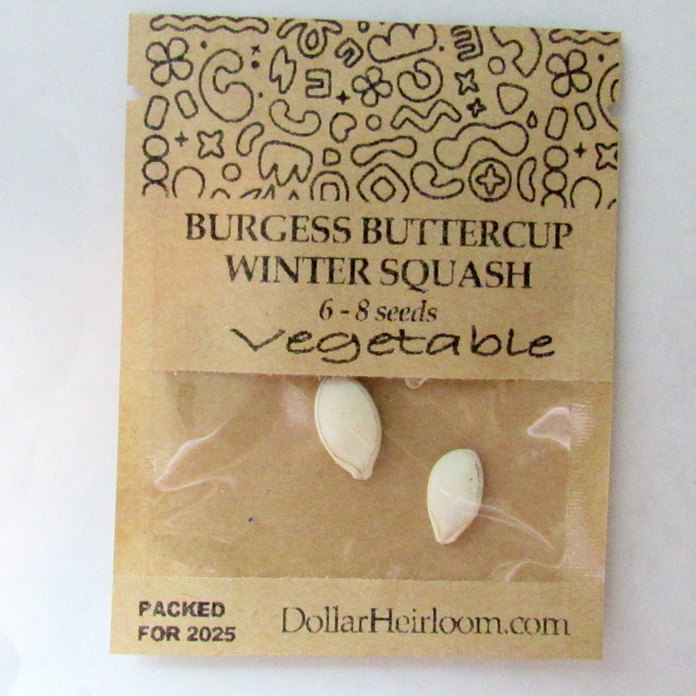 Squash – Winter – Burgess Buttercup (6-8 Seeds)
