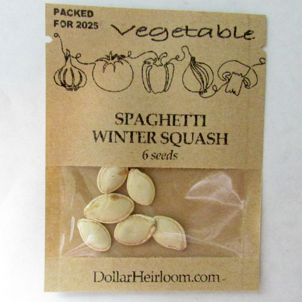 Squash – Winter – Vegetable Spaghetti (6 Seeds)