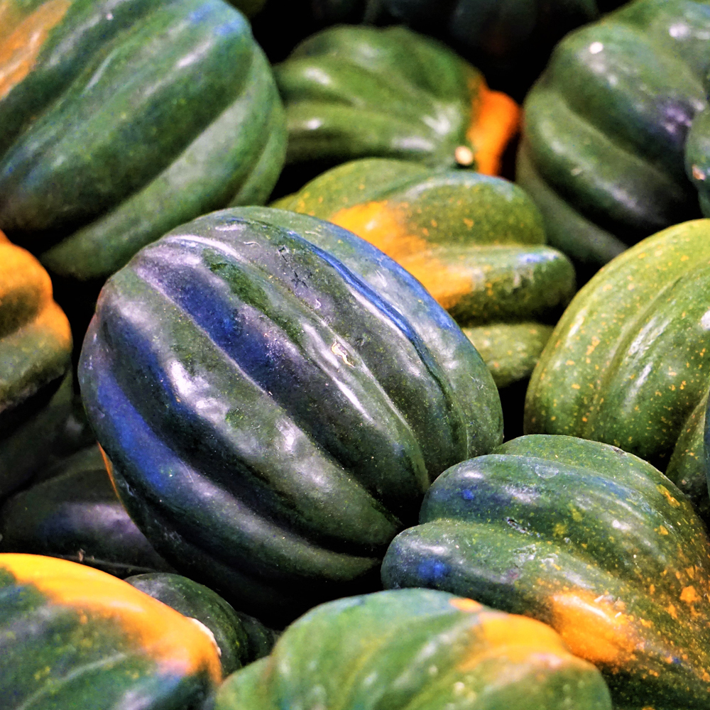 Squash – Winter – Table Queen Acorn (6-8 Seeds)