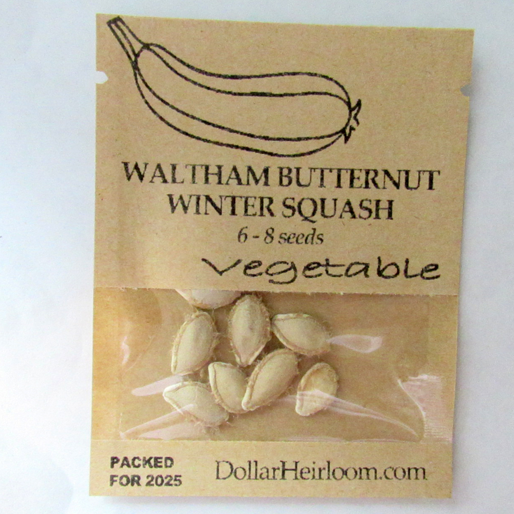 Squash – Waltham Butternut (6-8 Seeds)