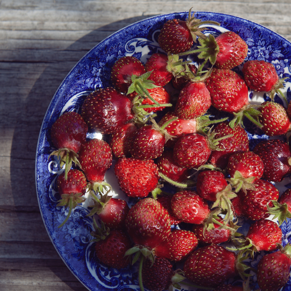 Strawberry - Berries Galore Hybrid Pink