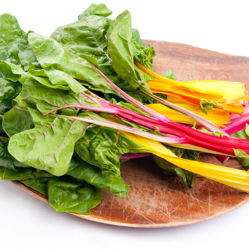 Swiss Chard - Rainbow Mixture (10-12 Seeds)