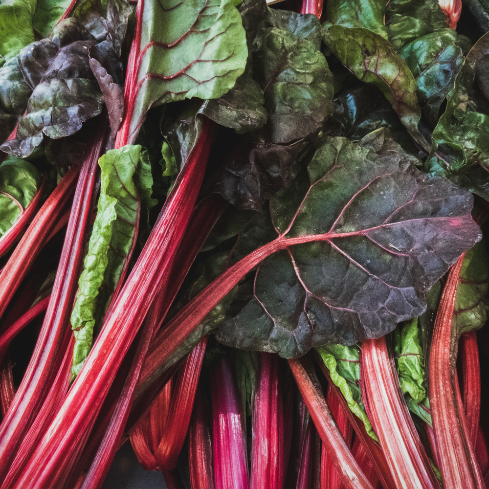 Swiss Chard – Ruby Red (10-12 Seeds)