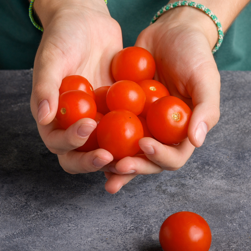 Tomato - Cherry - Large Red Cherry (16-18 Seeds)