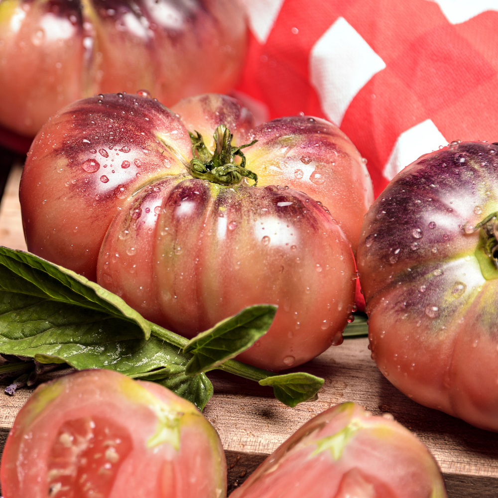 Tomato – Slicing – Brandywine Pink (16-18 Seeds)