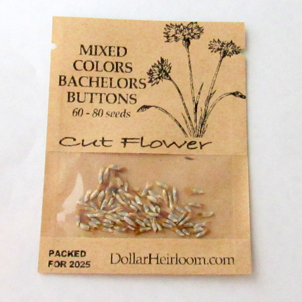 Bachelors Buttons – Mixed Colors (60-80 Seeds)
