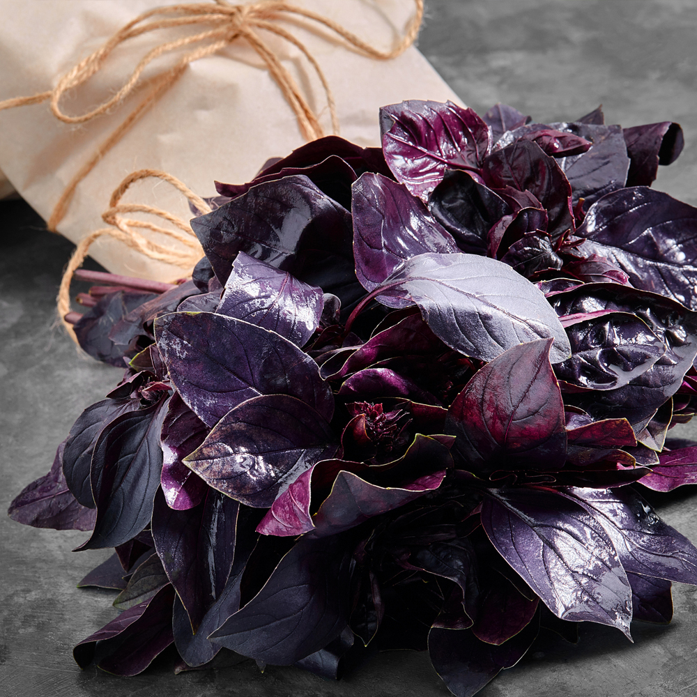Basil - Purple Ruffles (100-120 Seeds)