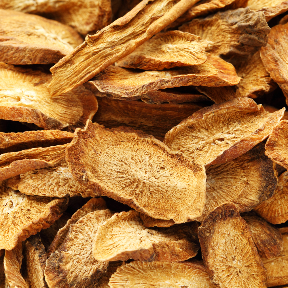 Burdock - Ha Gobo