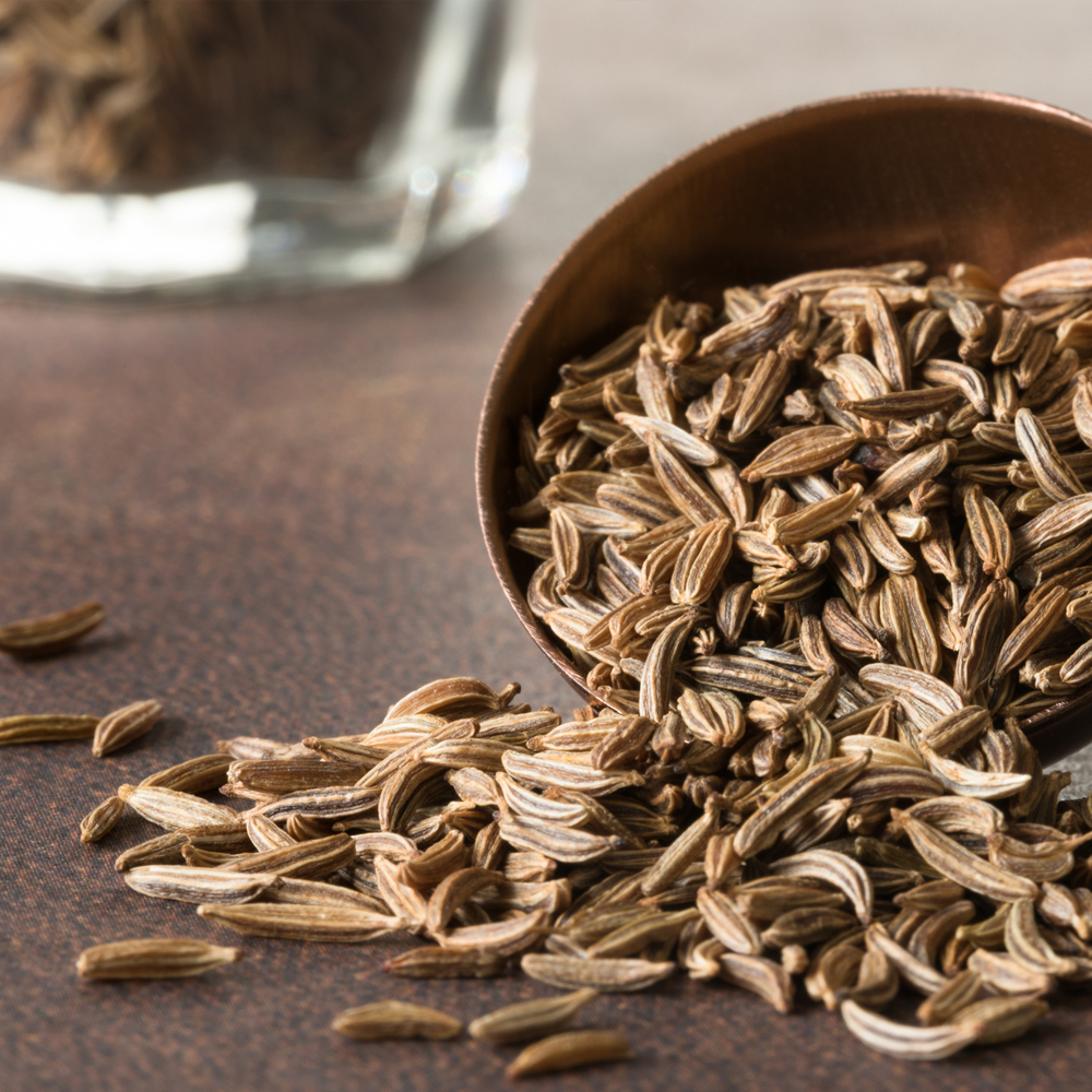Caraway (100-120 Seeds)
