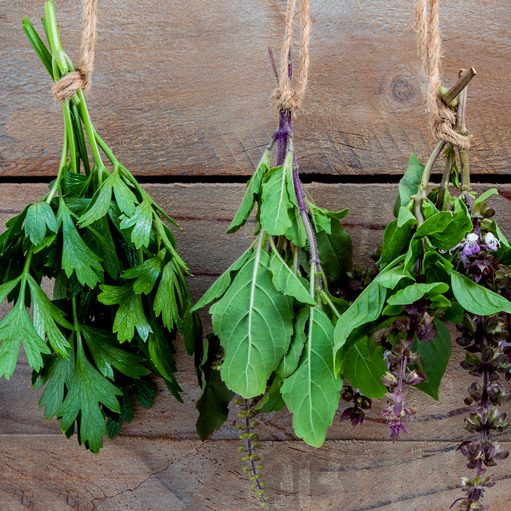 Chefs Specialty Assortment - Asian Herb Garden