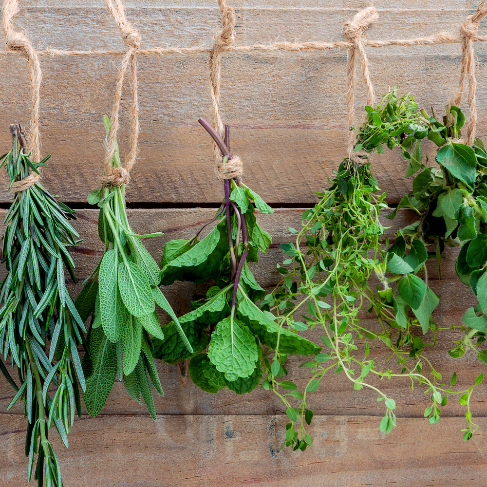 Chefs Specialty Assortment - Asian Herb Garden