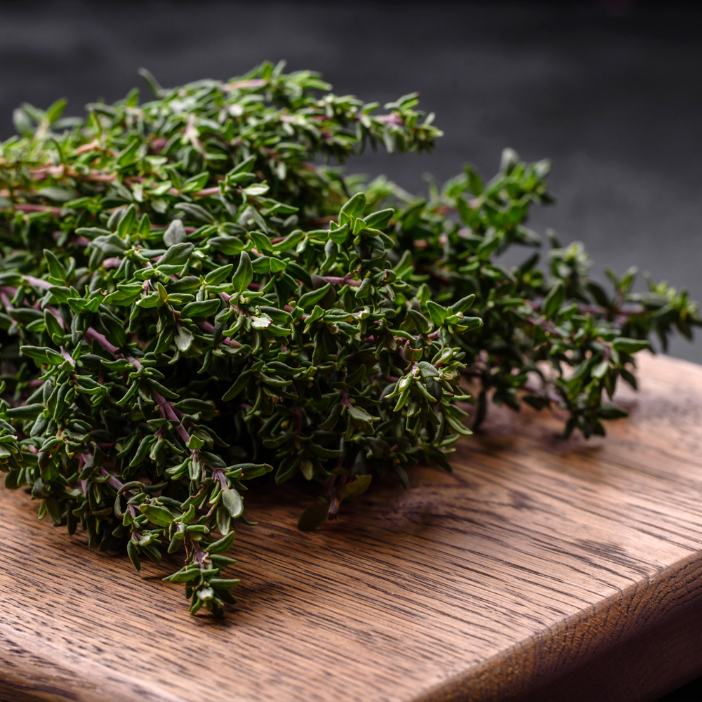Common Thyme