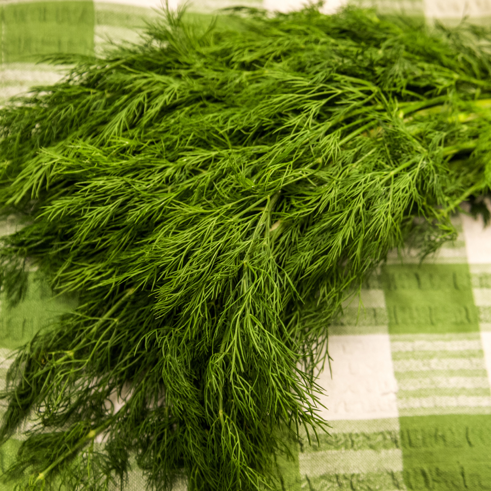 Dill - Bouquet (100-150 Seeds)