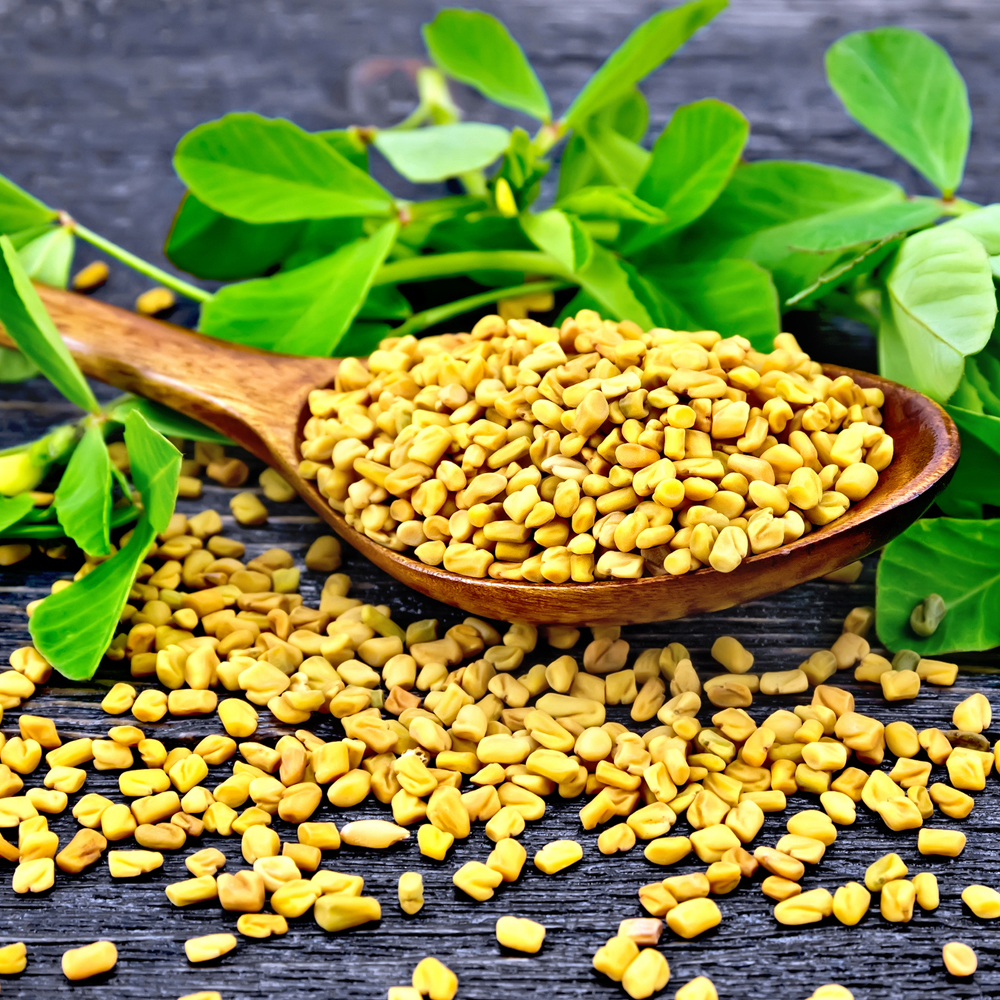 Fenugreek - Herb