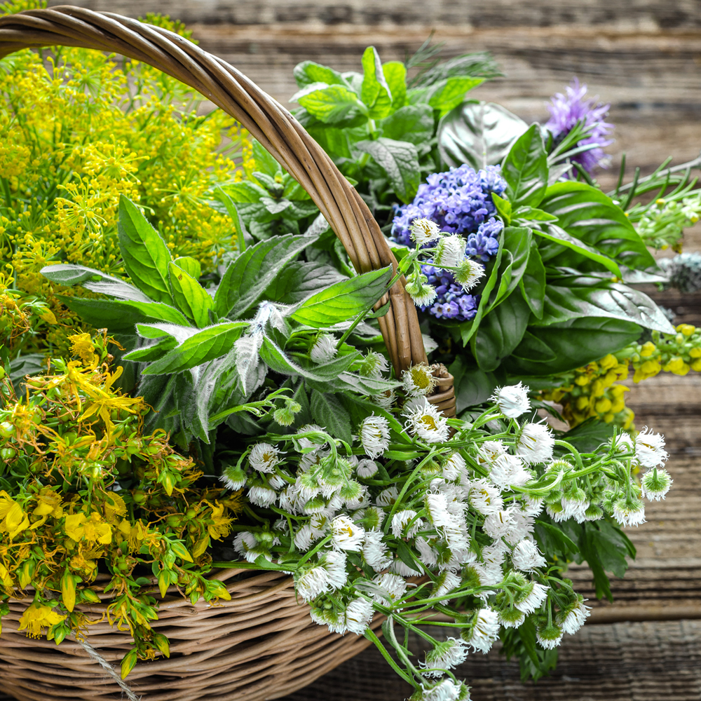 Flowering Herbs Mix (60-80 Seeds)