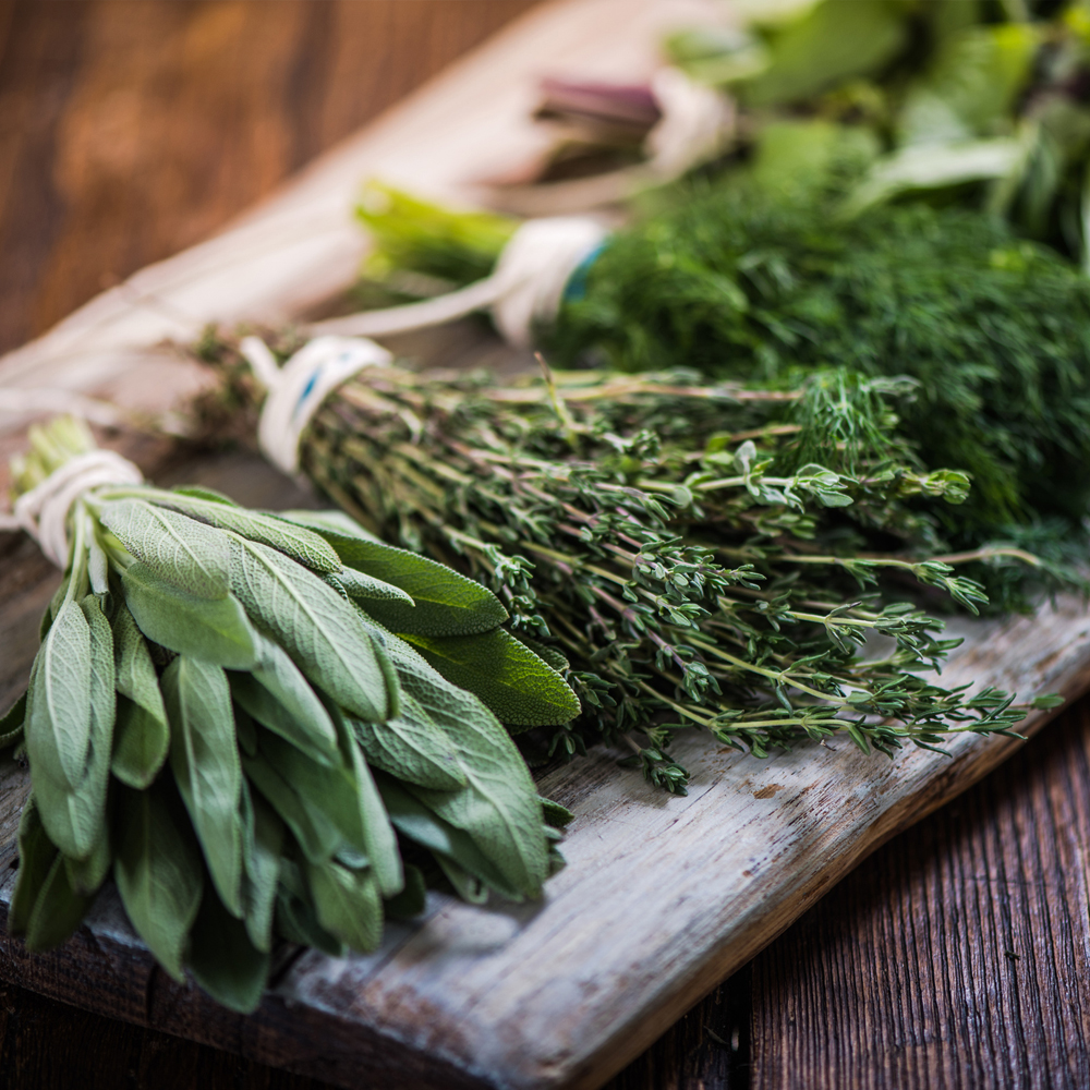 Herb Assortment - Essential Culinary Collection