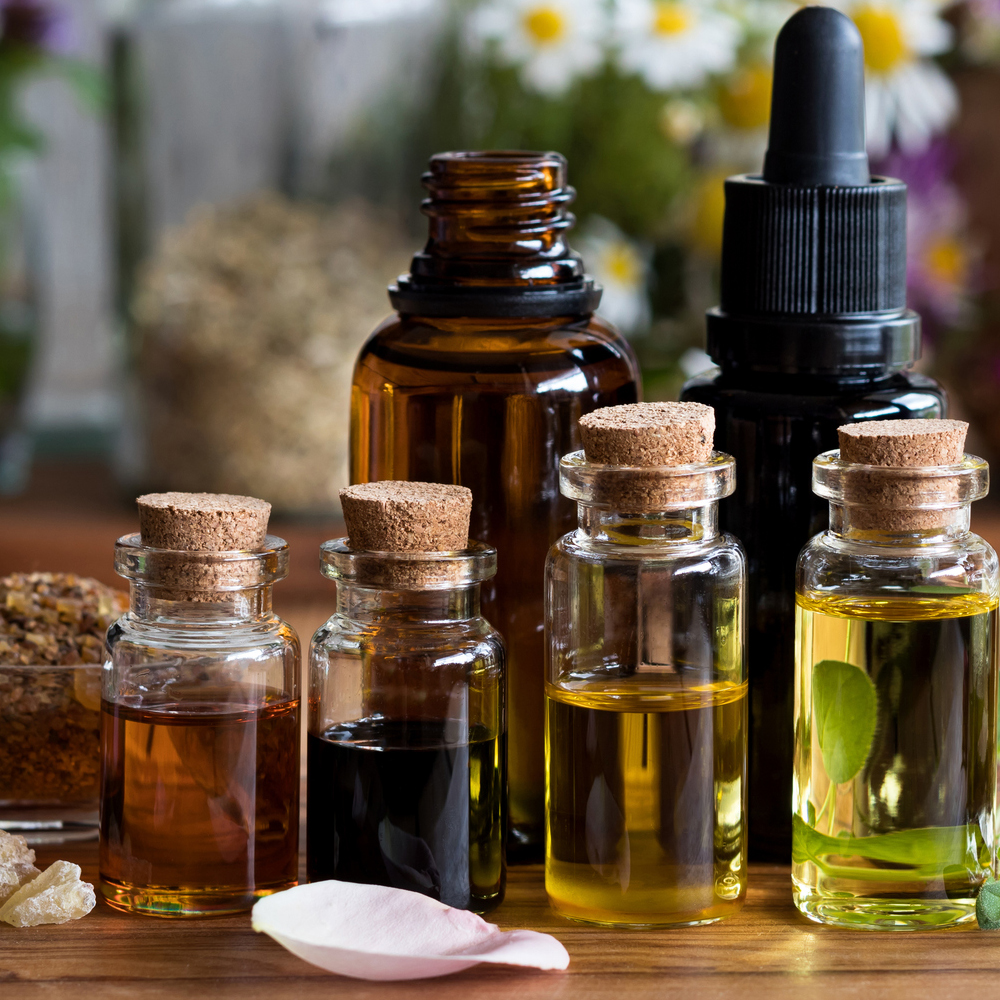 Herb Assortment - Scarborough Fair