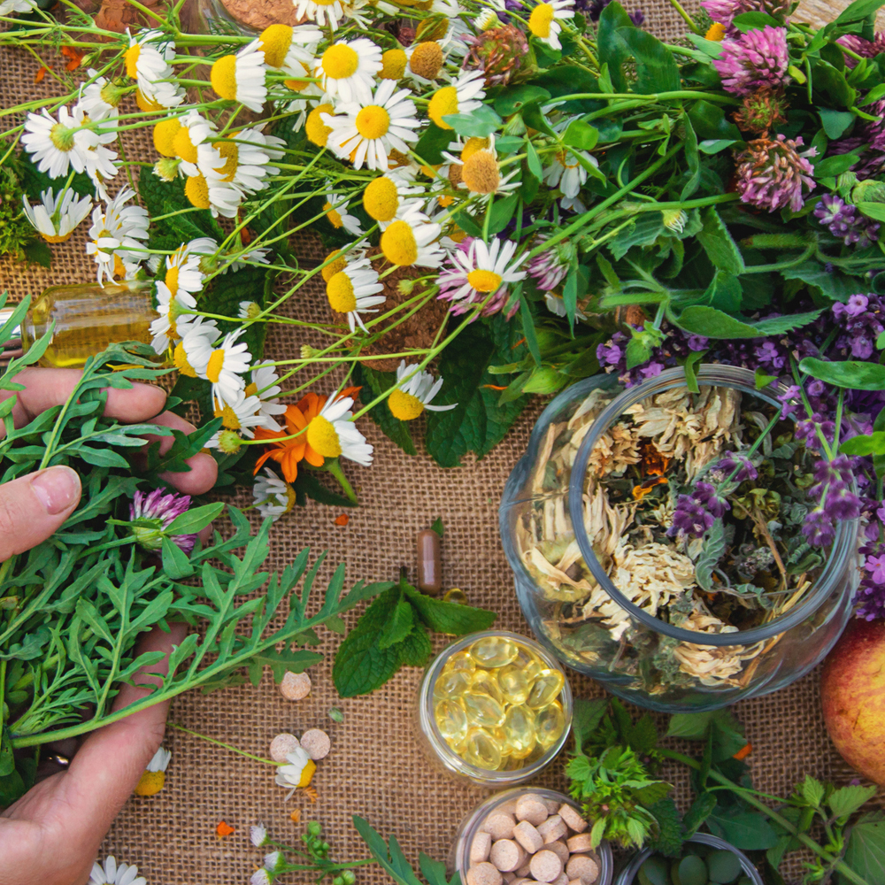 Herbs de Provence Collection