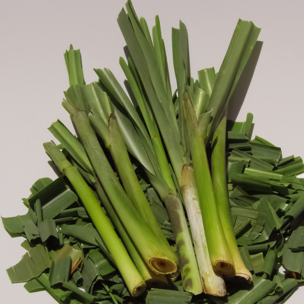 Lemon Grass - West Indian
