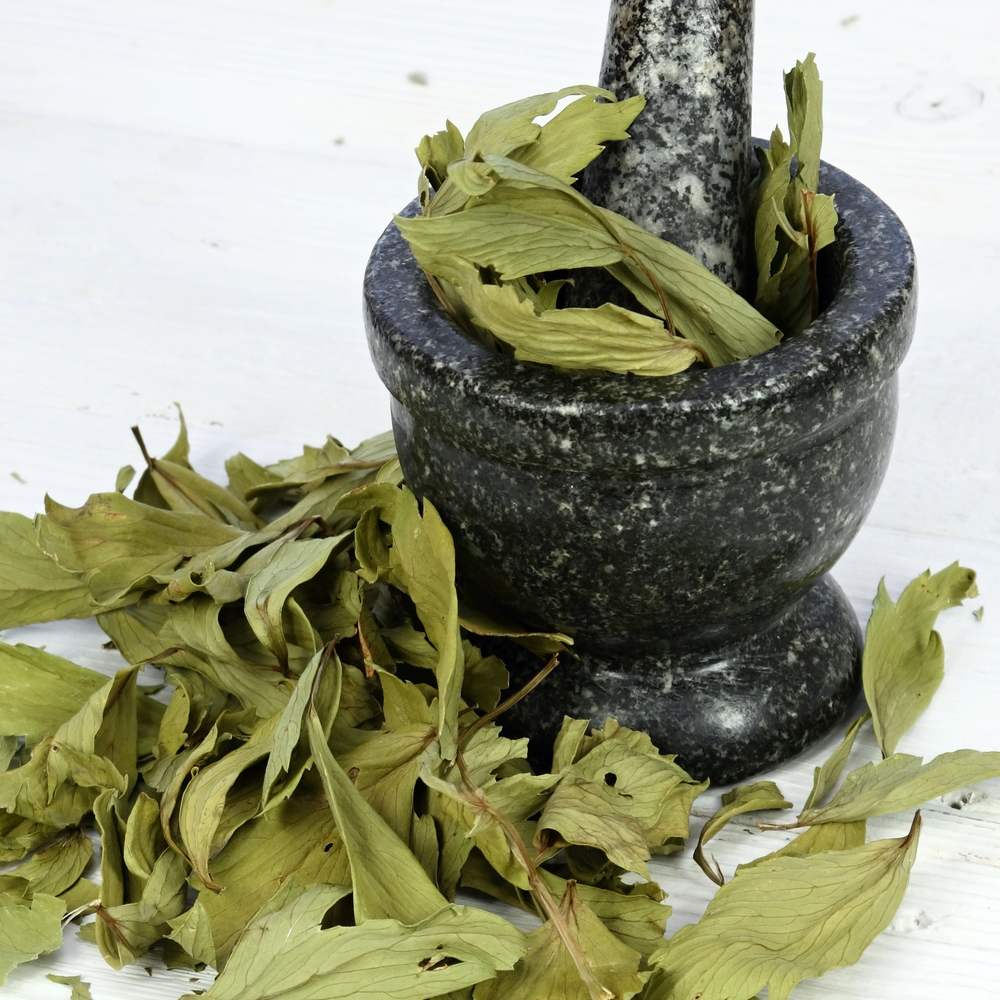 Lovage (60-80 Seeds)