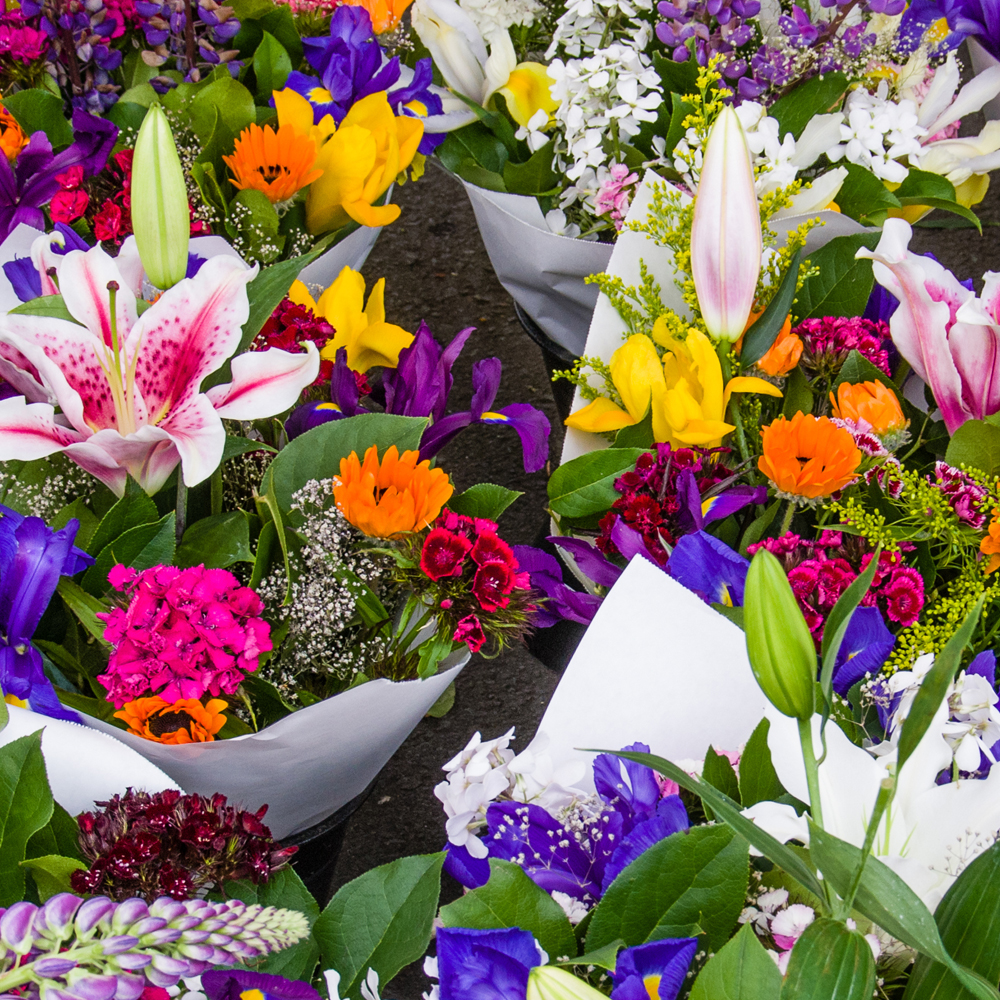 Mixed - Annual Cut Flower Mix Seeds