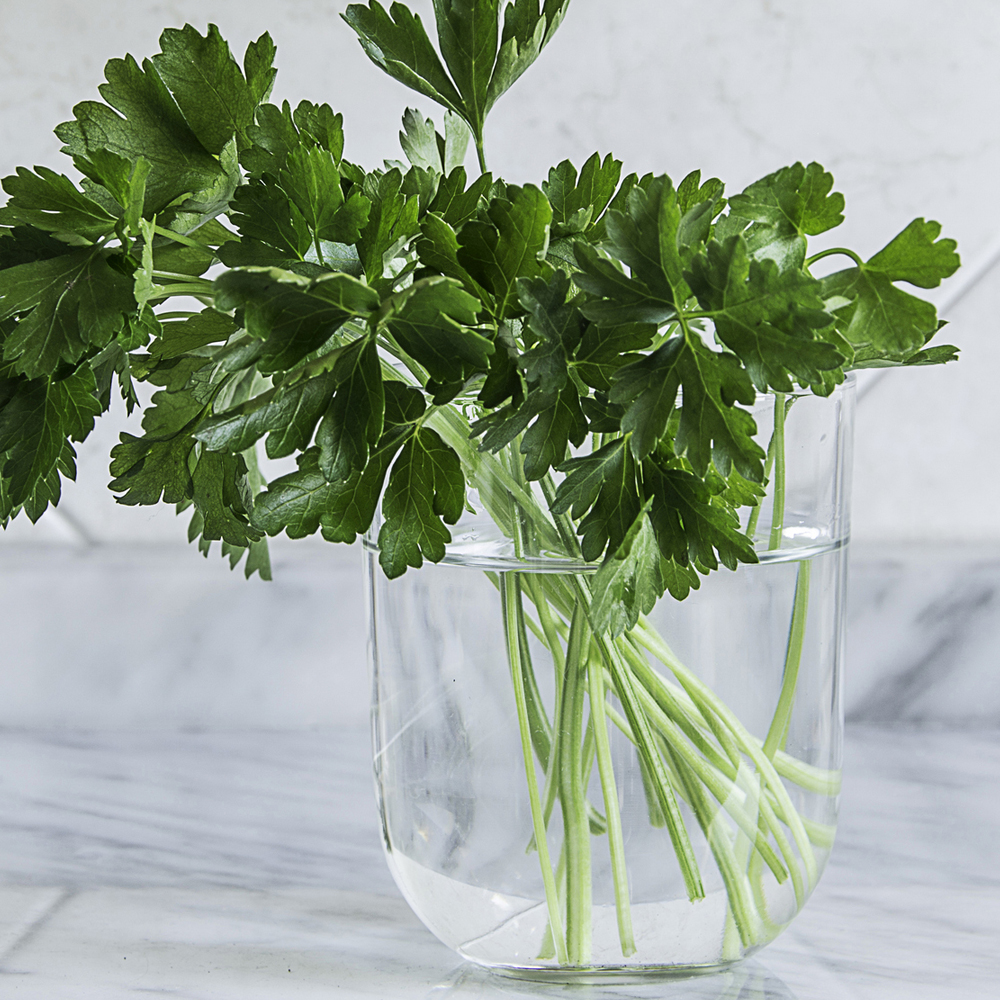 Parsley - Forest Green