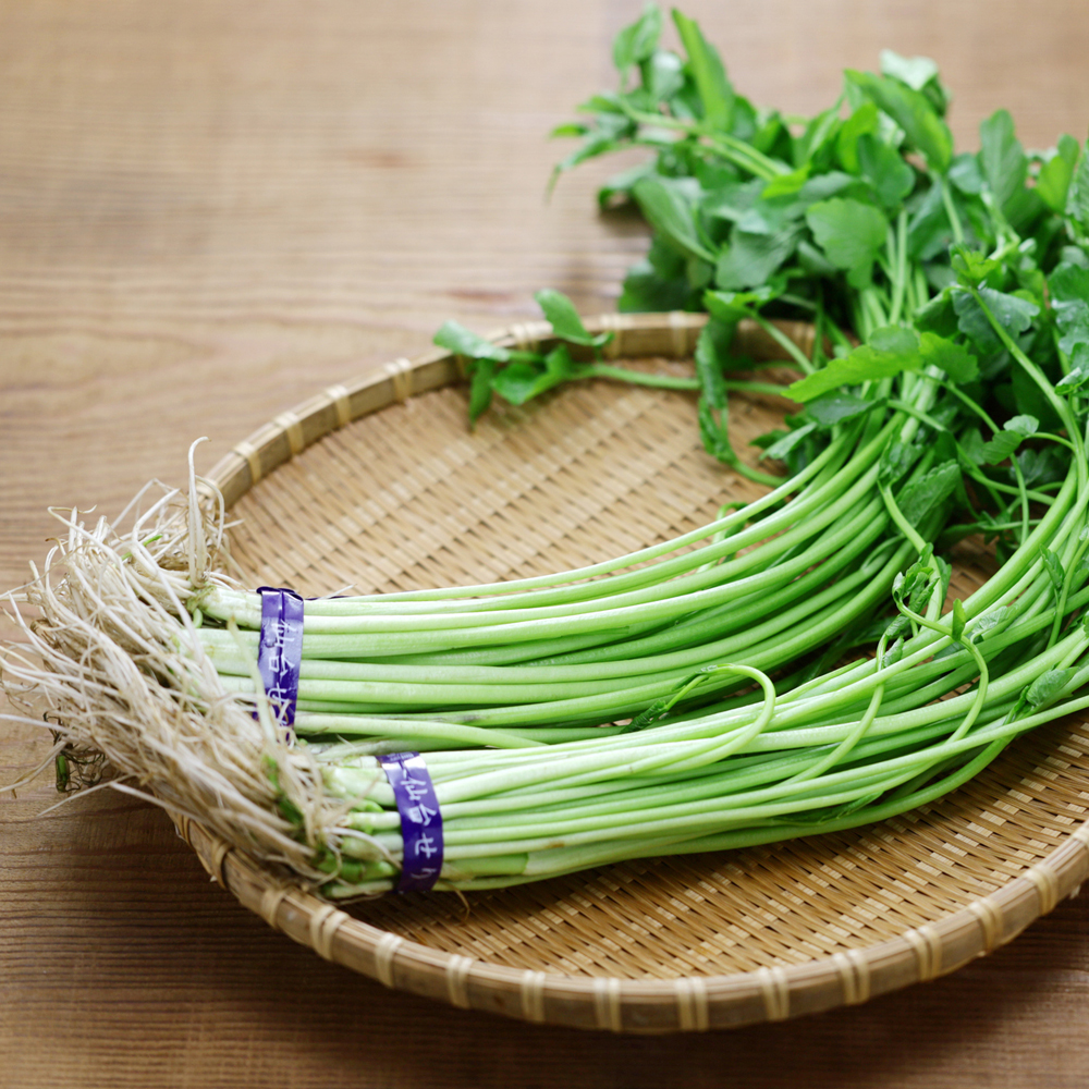 Parsley - Japanese - Mitsuba
