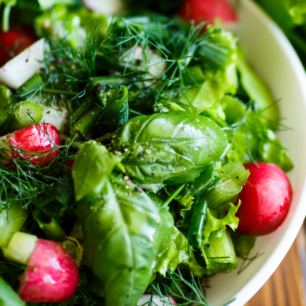 Salad Burnet Herb