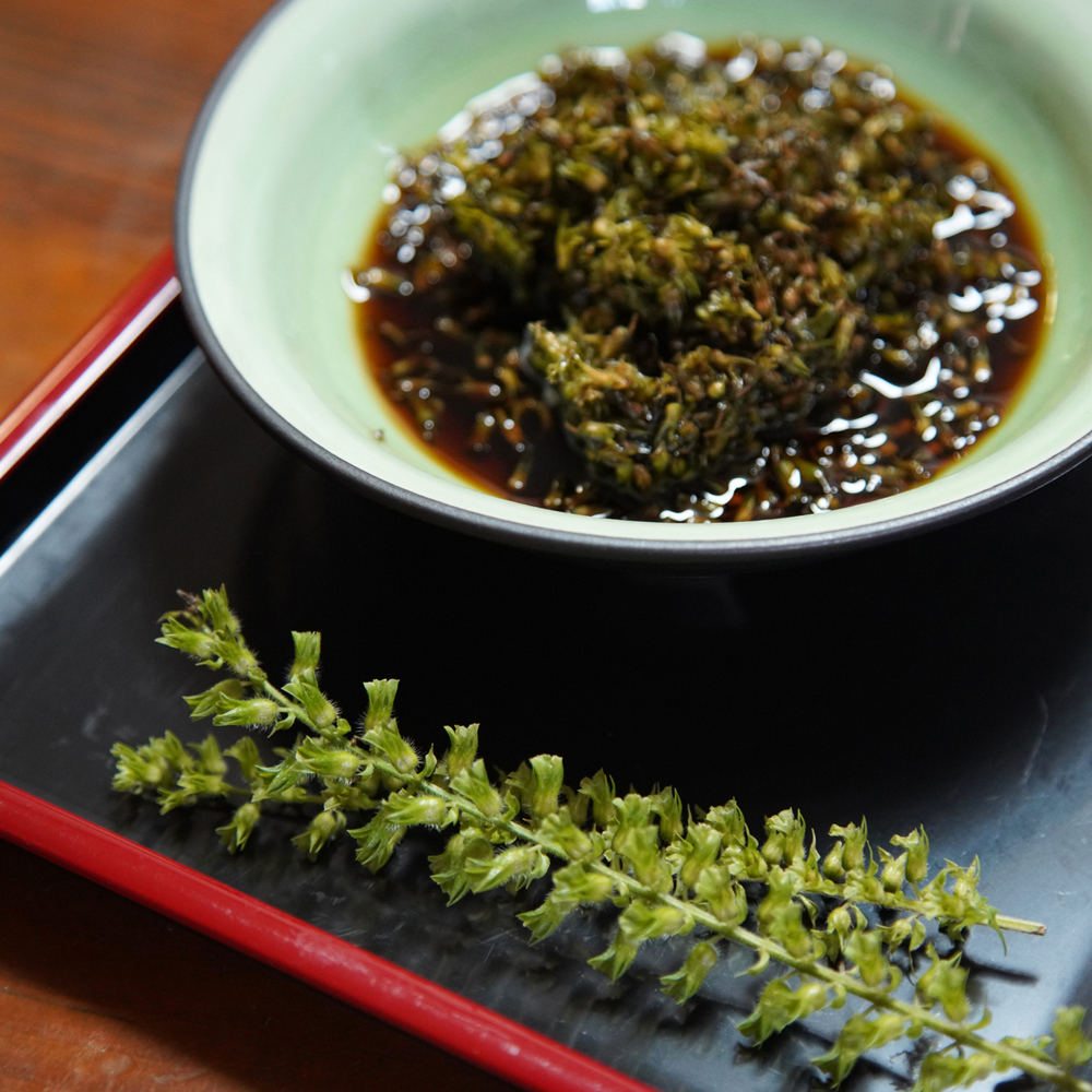 Shiso Herb (Perilla) - Ohba
