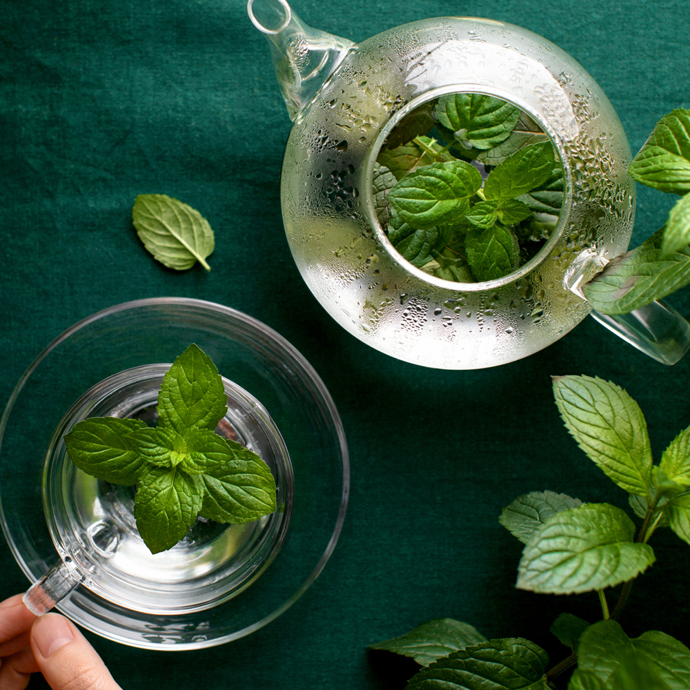 Spearmint (30-40 Seeds)