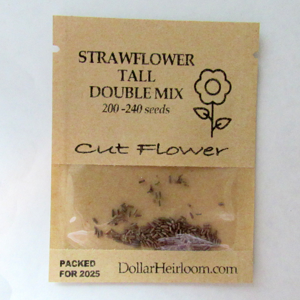 Strawflower – Tall Double Mix (200-240 Seeds)