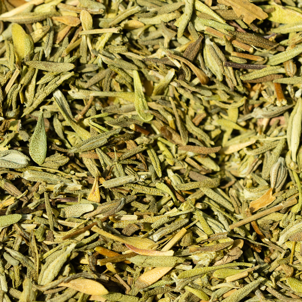 Summer Savory