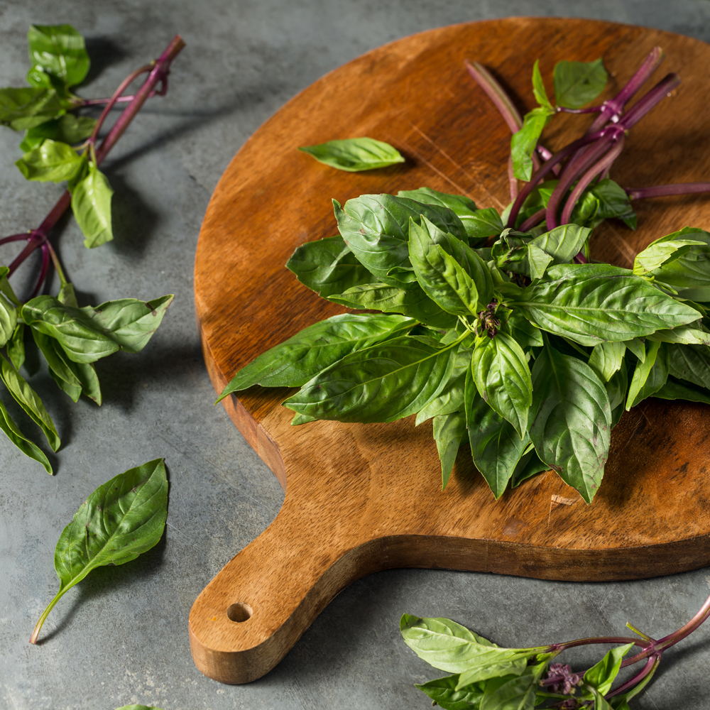 Thai Basil - Siam Queen