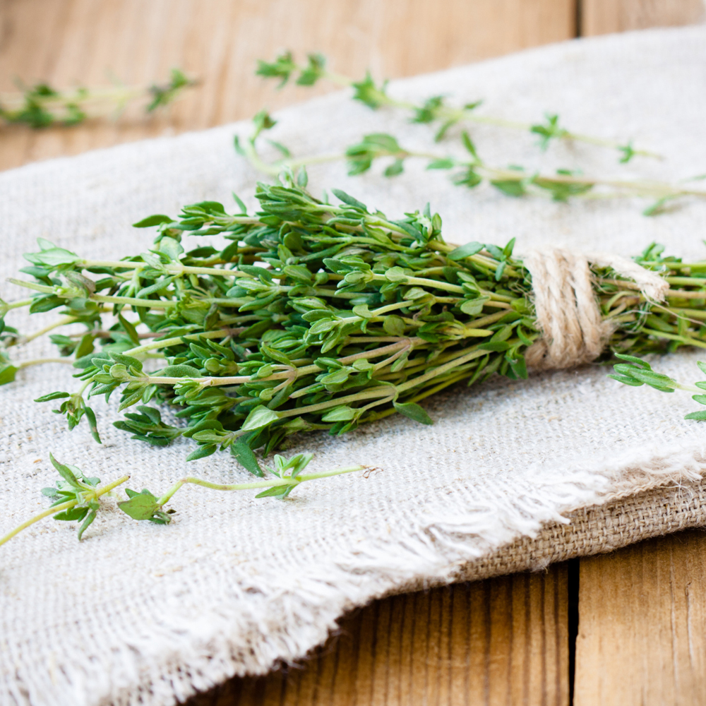 Thyme - French (80-100 Seeds)