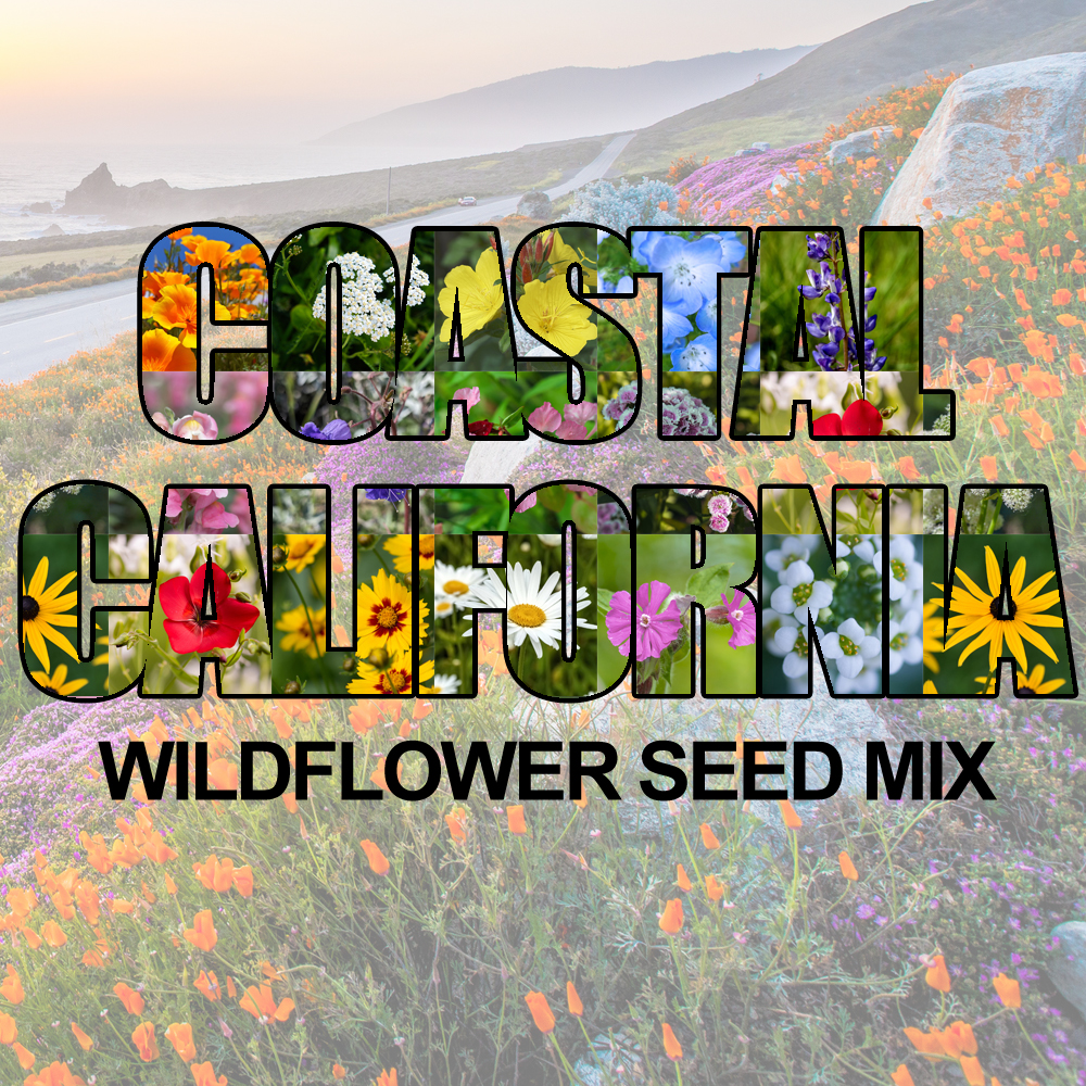 California Wildflower Seed Mix (1.5-2.5 Sq Ft)