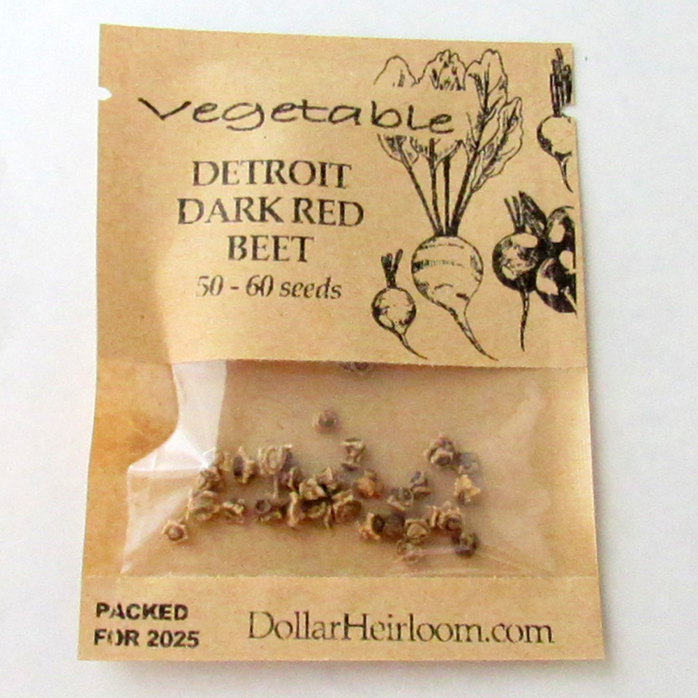 Beet - Detroit Dark Red