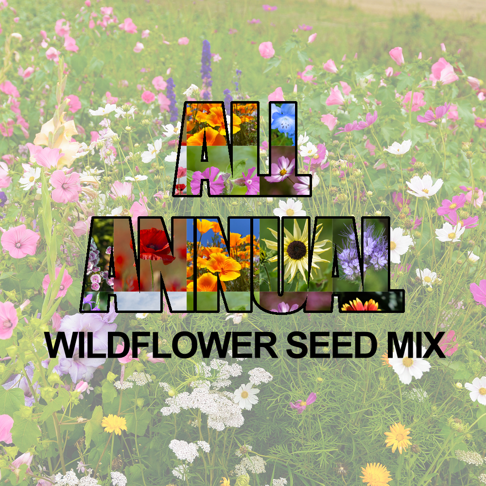 All Annual Wildflower Seed Mix (1.5-2.5 Sq Ft)