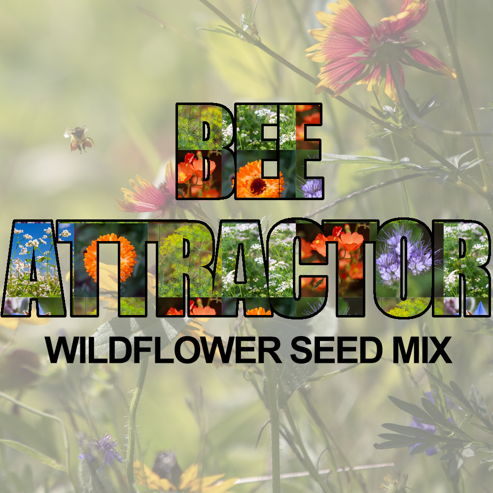 Bee Loving Wildflower Seed Mix (1.5-2.5 Sq Ft)