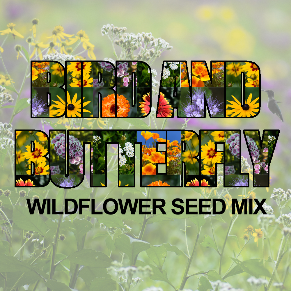 Bird & Butterfly Wildflower Seed Mix (1.5-2.5 Sq Ft)