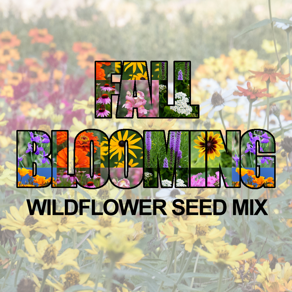 Fall Blooming Wildflower Seed Mix (1.5-2.5 Sq Ft)