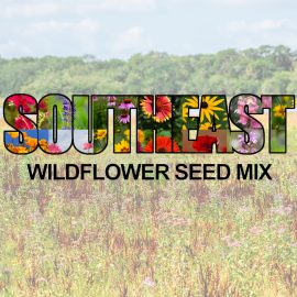 Southeast Wildflower Seed Mix (1.5-2.5 Sq Ft)
