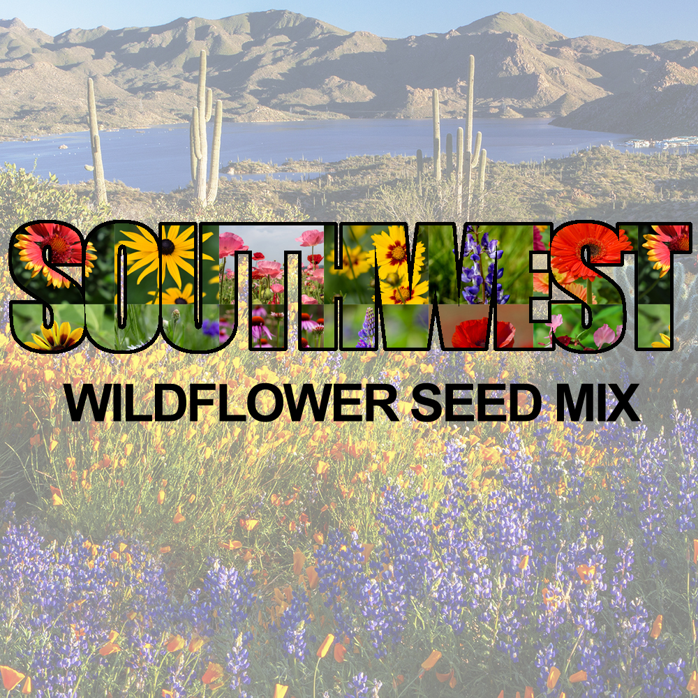 Southwest Wildflower Seed Mix (1.5-2.5 Sq Ft)