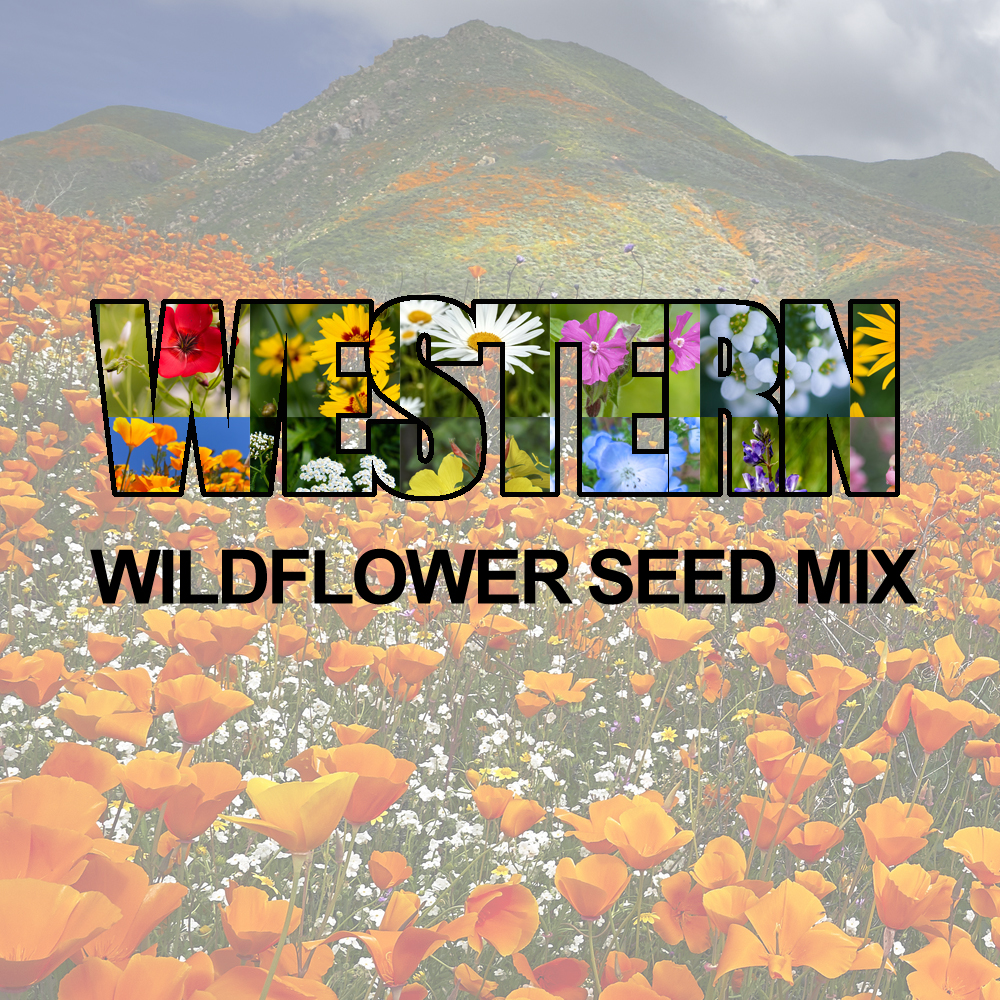 Western Wildflower Seed Mix (1.5-2.5 Sq Ft)
